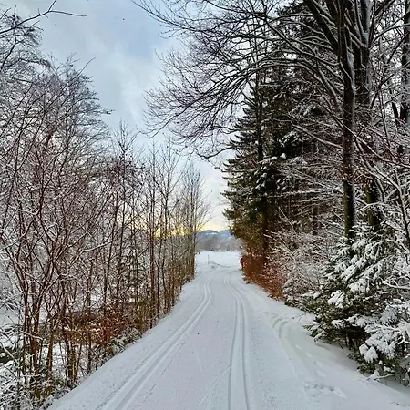 Heimat *